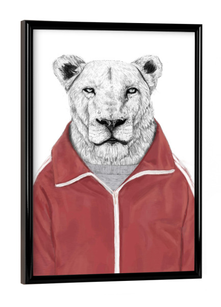 Poster mit schwarzem Rahmen "Sportlicher Löwe" artboxONE - Tiere,Lustig - Löwen,Katzen,Tiere,Sport,Sportlich,Humor,Lustig,Niedlich
