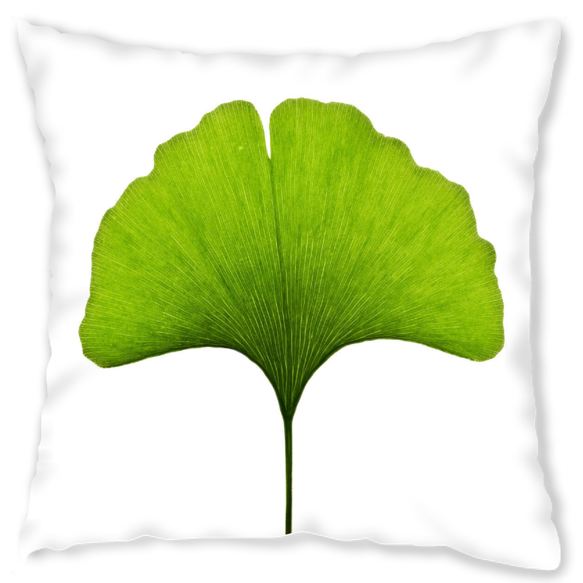 Design-Kissen "Ginkgo biloba" artboxONE - Natur,Floral