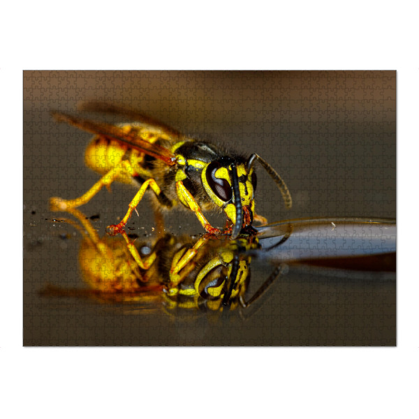 Puzzle Ravensburger "Wespe beim trinken" artboxONE - Tiere - Wespe,Kopf,Wespenkopf,Insekt,Insekten,Wespen - Bild wespe