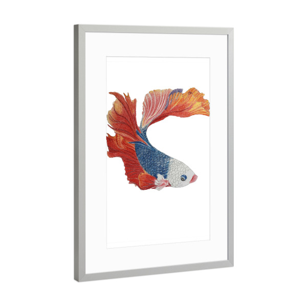 Poster mit Rahmen Silber "Blau-roter Fisch" artboxONE - Tiere - Fisch,Koi,Illustration,Animal,Tier,Fish,Meer,Unterwasser