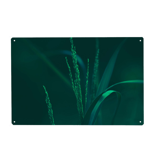 Holzbild "Gräser im Wind" artboxONE - Natur