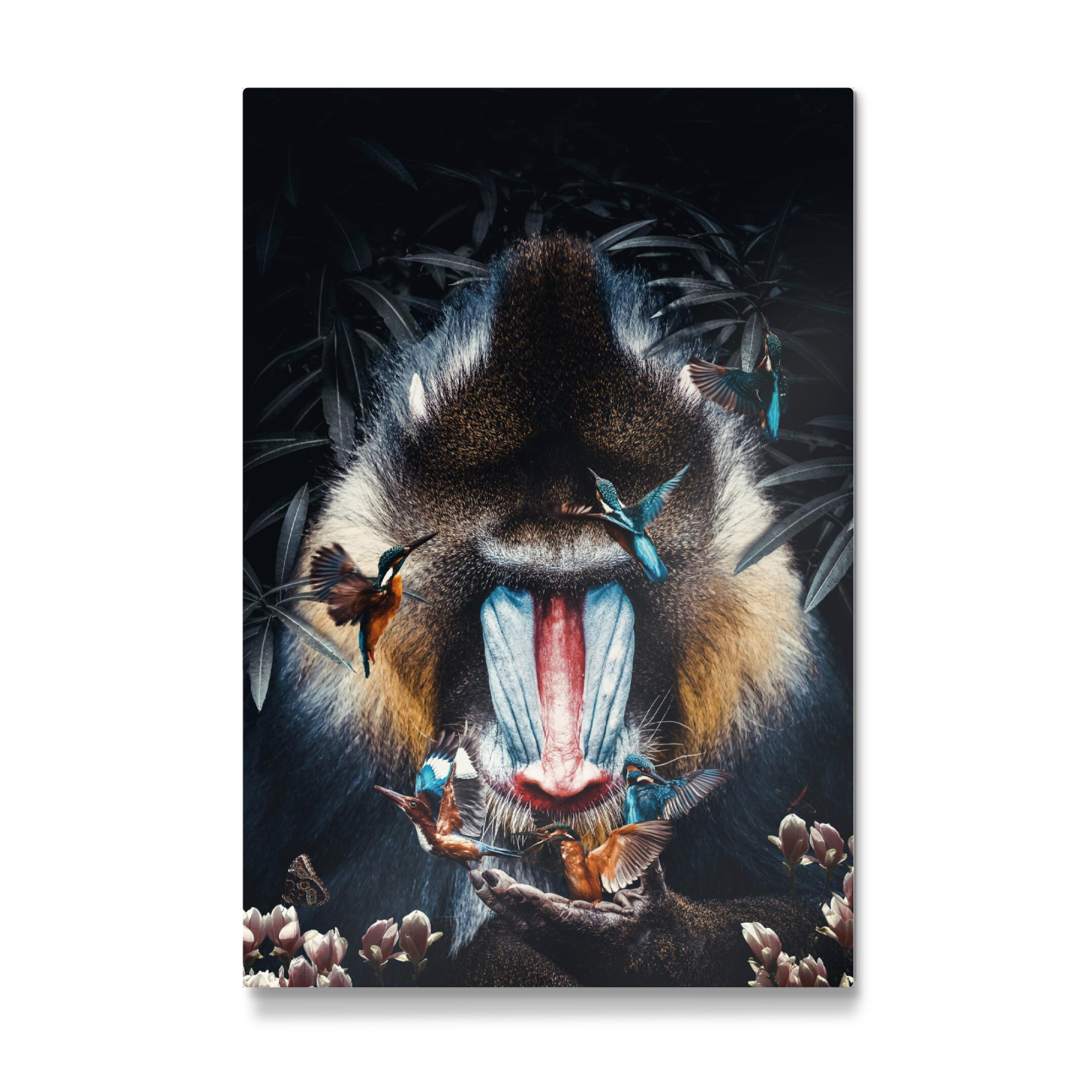 Galerie-Print "Mandrill Pavian" 75x50 cm artboxONE