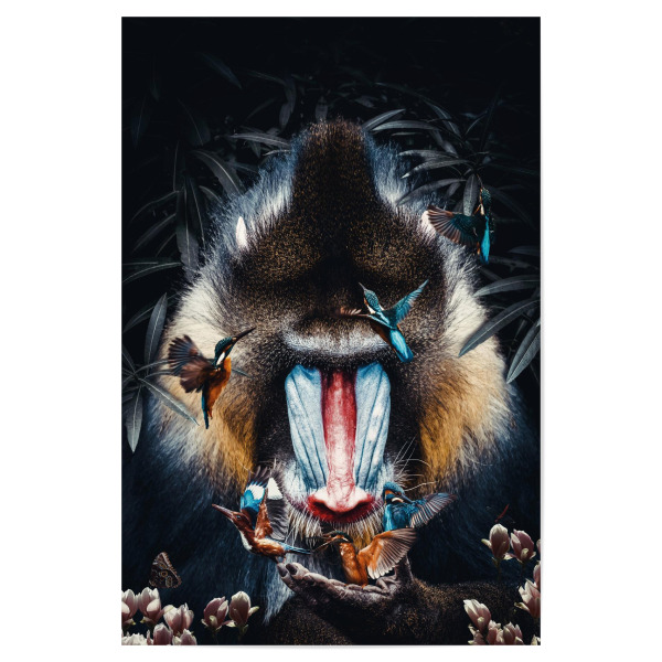 Poster 30x20 cm "Mandrill Pavian" artboxONE - Natur,Floral,Tiere - Mandrill,Mandrillpavian,Pavian,Affe,Dschungel,Blätter,Tier
