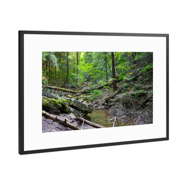 Poster mit Rahmen Schwarz (Metallic) "Ein wilder Bach in tiefem Wald" artboxONE - Natur,Reise,Reise / Länder