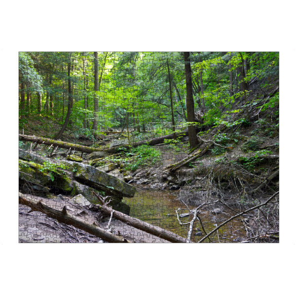 Puzzle Ravensburger "Ein wilder Bach in tiefem Wald" artboxONE - Natur,Reise,Reise / Länder