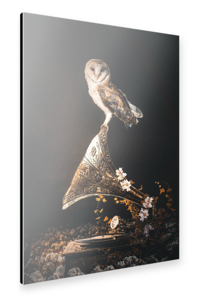 Alu-Dibond "Grammophon-Eule" 30x20 cm artboxONE