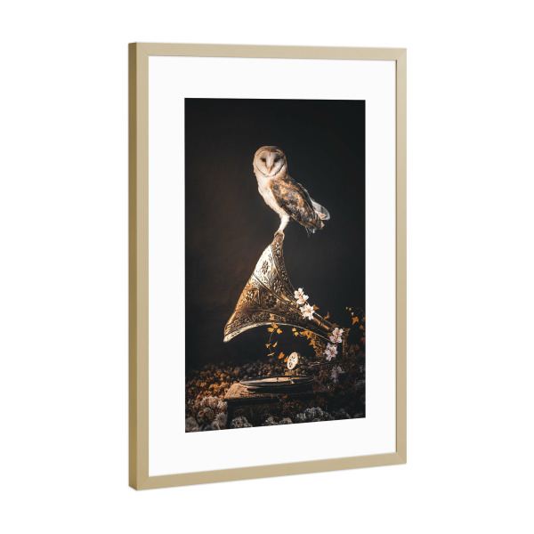 Poster mit Rahmen Gold "Grammophon-Eule" artboxONE - Natur,Tiere - Eule,Grammophon,Vintage,Blumen,Vintage blumen,Vogel