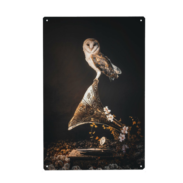 Holzbild "Grammophon-Eule" artboxONE - Natur,Tiere - Eule,Grammophon,Vintage,Blumen,Vintage blumen,Vogel
