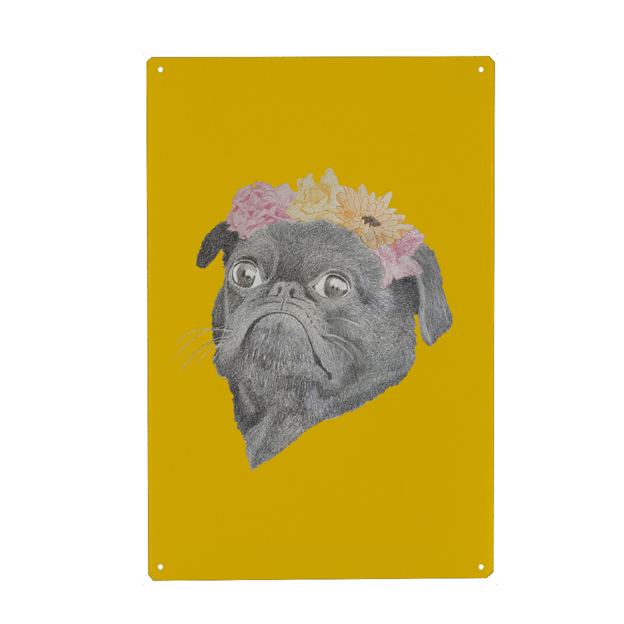 Metall Poster "Lustiger Mops mit Blumen" artboxONE - Für Kinder,Tiere - Mops,Hund,Dog,Animal,Tier,Tierportrait,Animalportrait,Illustration,Buntstift