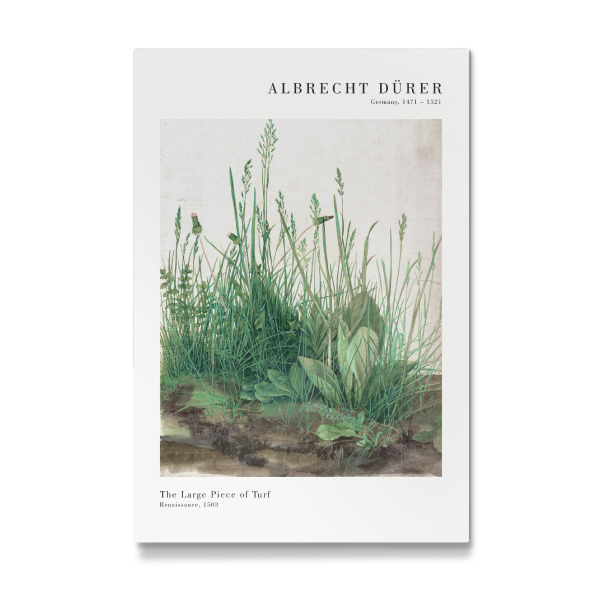 Galerie-Print "Dürer - Das große Rasenstück" 30x20 cm artboxONE