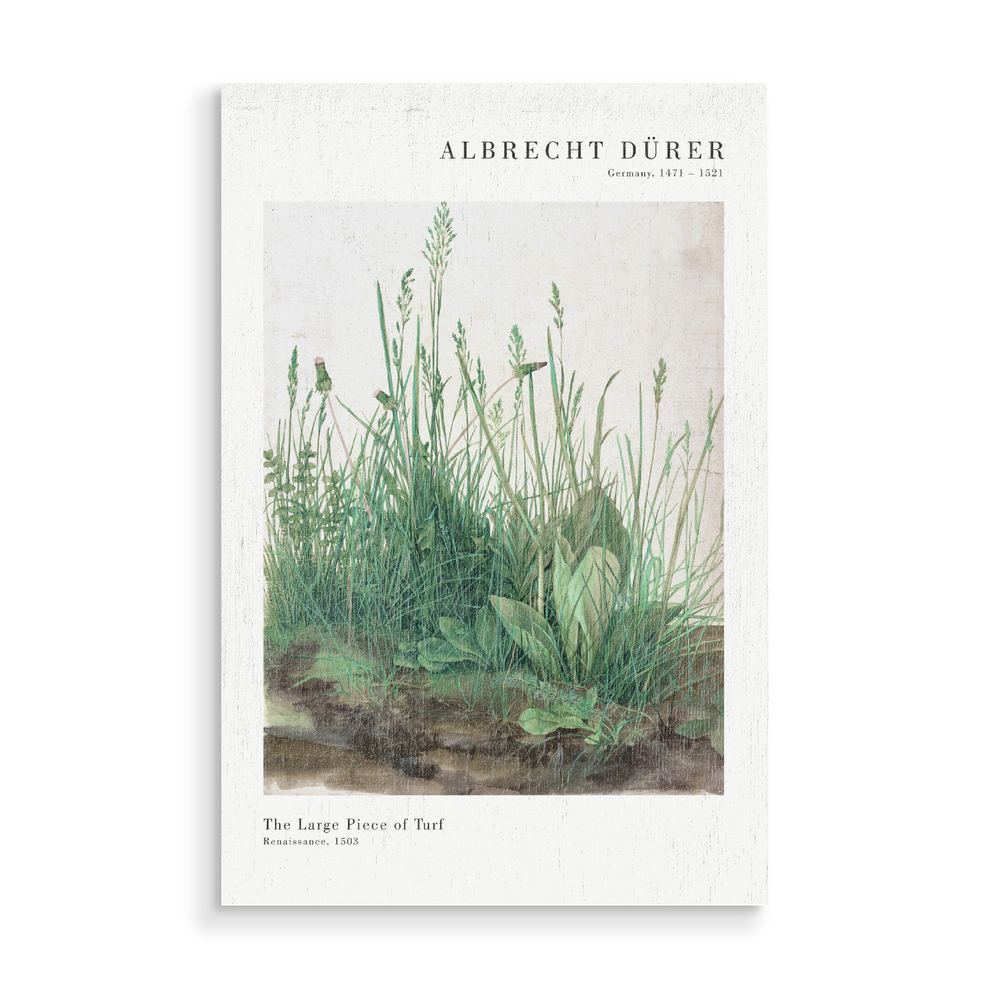 Holzbild "Dürer - Das große Rasenstück" artboxONE - Natur,Floral - Rasen,Gras,Natur,Wiese,Dürer,Kunst,Malerei,Gemälde,Pflanze