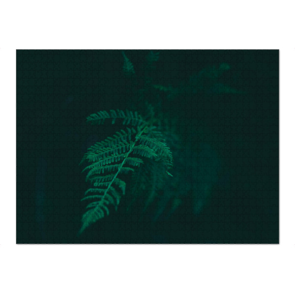 Puzzle Ravensburger "Farnwedel im Wald" artboxONE - Natur