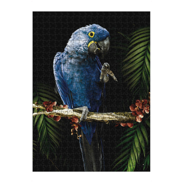artboxONE Puzzle "Ara-Dschungel-Papagei" artboxONE - Natur,Tiere - Papagei,Ara,Ara-papagei,Dschungel,Blätter,Vogel,Tier - Bild papagei