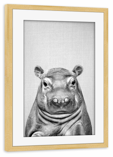 Poster mit Rahmen kiefer "Baby-Flusspferd - Schwarz & Weiß" artboxONE - Natur,Reise,Für Kinder,Tiere,Reise / Afrika