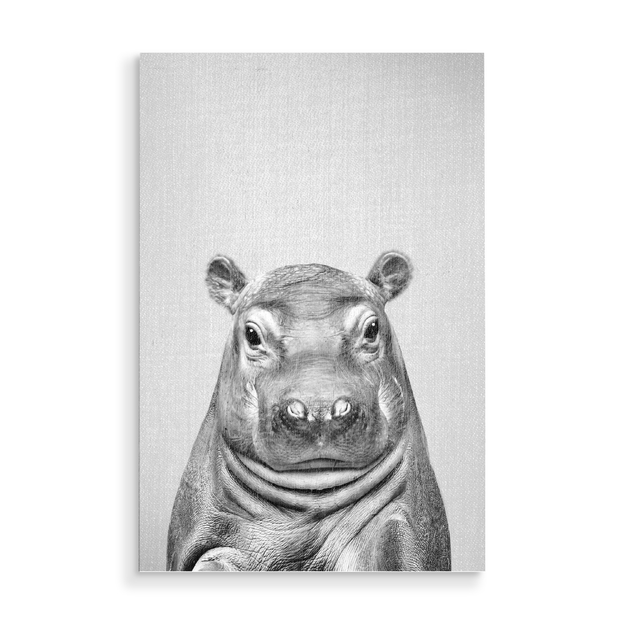 Holzbild "Baby-Flusspferd - Schwarz & Weiß" artboxONE - Natur,Reise,Für Kinder,Tiere,Reise / Afrika