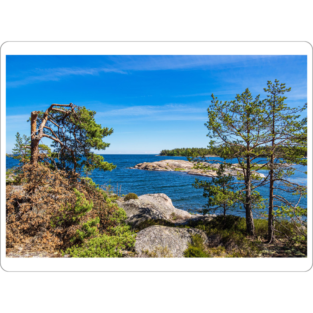 Tischset "Felsenküste, Bäume, Ostsee" artboxONE - Natur,Reise,Reise / Strand und Meer,Reise / Länder