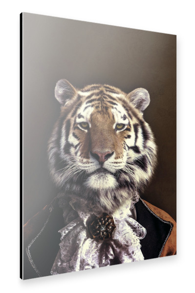 Alu-Dibond "Classy Tiger Vintage" 30x20 cm artboxONE