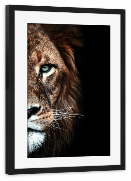 Poster mit Rahmen schwarz "Löwen-Duett" artboxONE - Tiere - Löwenkopf,Löwen,Raubkatze,Löwengesicht,Portrait