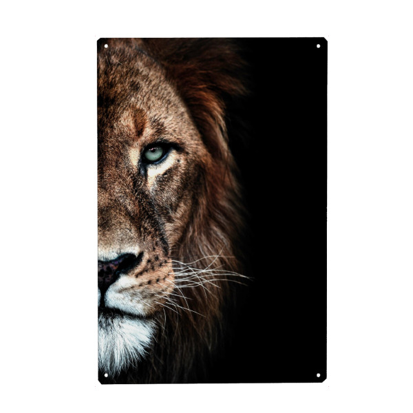 Metall Poster "Löwen-Duett" artboxONE - Tiere - Löwenkopf,Löwen,Raubkatze,Löwengesicht,Portrait - Blechschild
