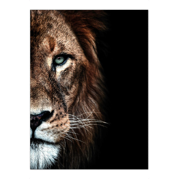 Puzzle Ravensburger "Löwen-Duett" artboxONE - Tiere - Löwenkopf,Löwen,Raubkatze,Löwengesicht,Portrait - Bild löwenkopf