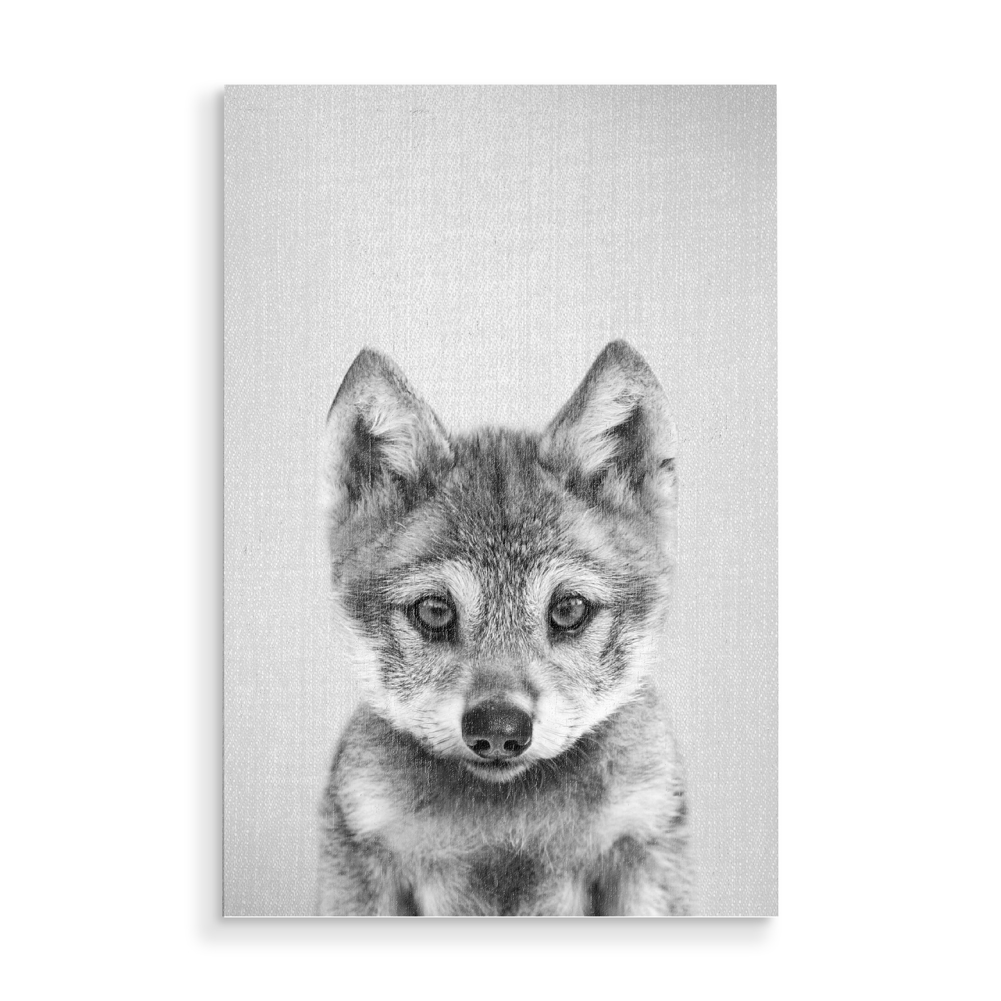 Holzbild "Baby-Wolf - Schwarz & Weiß" artboxONE - Natur,Reise,Für Kinder,Tiere,Männer