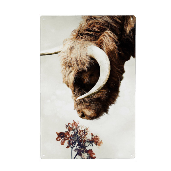 Holzbild "Hochlandkuh" artboxONE - Natur,Floral,Tiere - Hochlandkuh,Highlander,Kuh,Stier,Hörner,Blumen,Tier