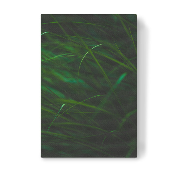 Leinwandbild "Grashalme" artboxONE - Natur