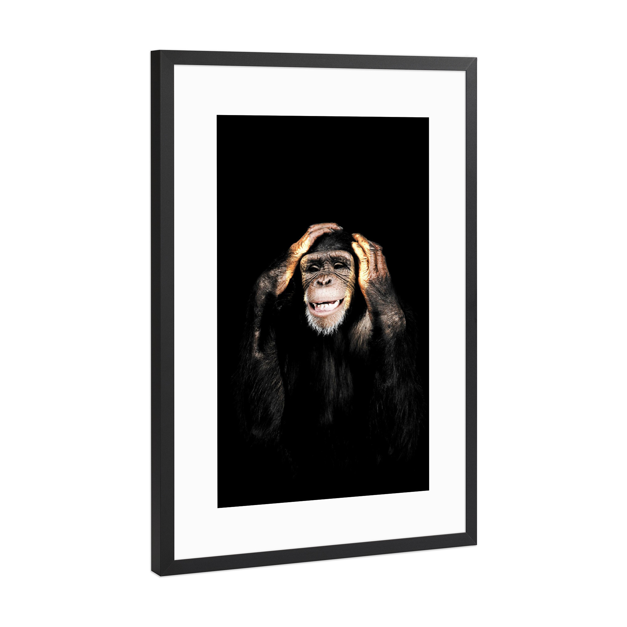 Poster mit Rahmen Schwarz (Metallic) "Affe - hört nichts Böses" artboxONE - Tiere - Nichts böses hören,Schimpanse,Schimpanse,Affe,Tier