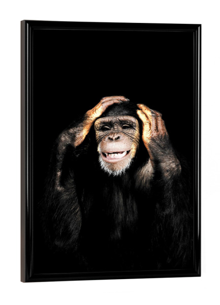 Poster mit schwarzem Rahmen "Affe - hört nichts Böses" artboxONE - Tiere - Nichts böses hören,Schimpanse,Schimpanse,Affe,Tier