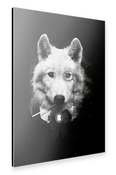 Alu-Dibond "Klasse Wolf" 30x20 cm artboxONE