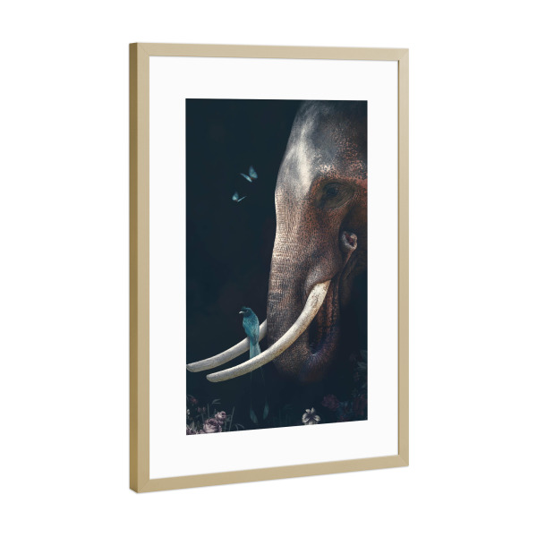 Poster mit Rahmen Gold "Elefant mit Freunden" artboxONE - Natur,Floral,Tiere - Elefant,Stoßzahn,Elefantenkopf,Tier