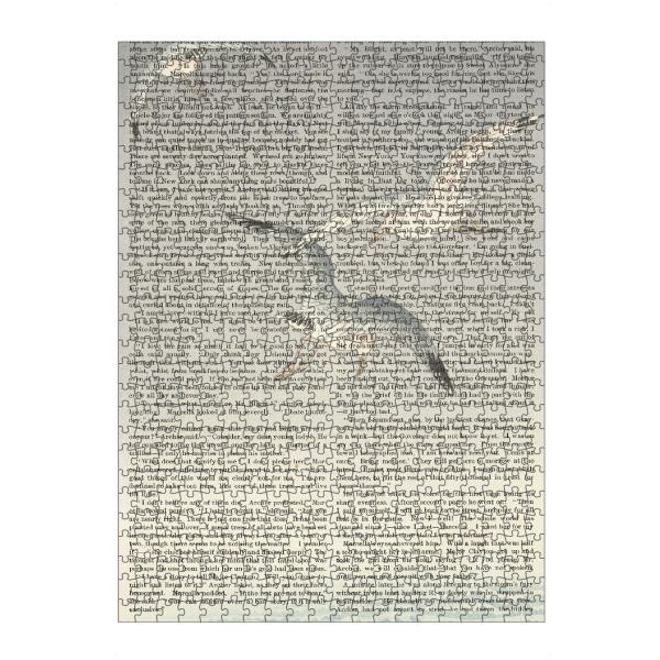 Puzzle Ravensburger "Möwen fliegen auf Worten" artboxONE - Natur,Reise,Tiere - Möwen,Vögel,Tiere,Natur,Meer,Text,Worte,Malerei,Gemälde,Kunst