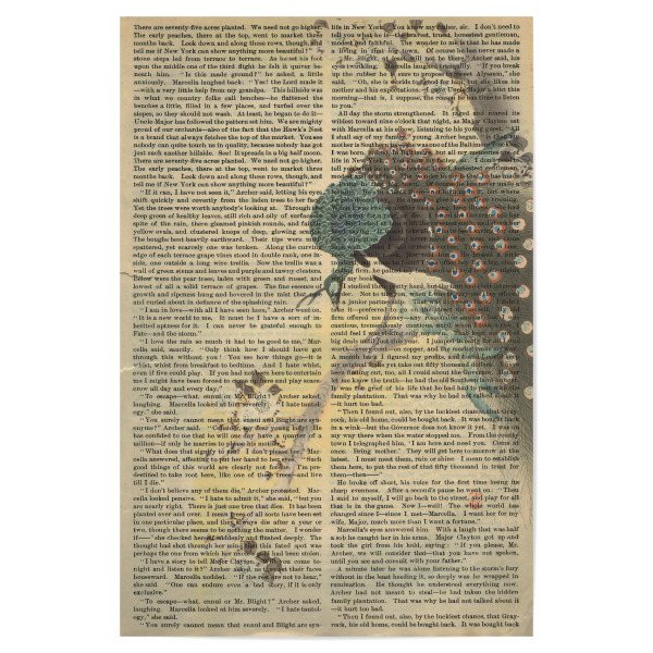 Poster "Pfau auf Worten" artboxONE - Natur,Tiere - Pfau,Vogel,Tier,Worte,Text,Kunst,Malerei,Gemälde
