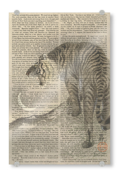 Acrylglasbild "Brüllender Tiger auf Worten" artboxONE - Natur,Tiere - Tiger,Brüllend,Natur,Worte,Text,Malerei,Gemälde,Kunst