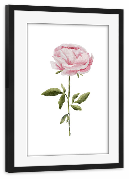 Poster mit Rahmen schwarz "Aquarell Pfingstrose - minimal" artboxONE - Floral