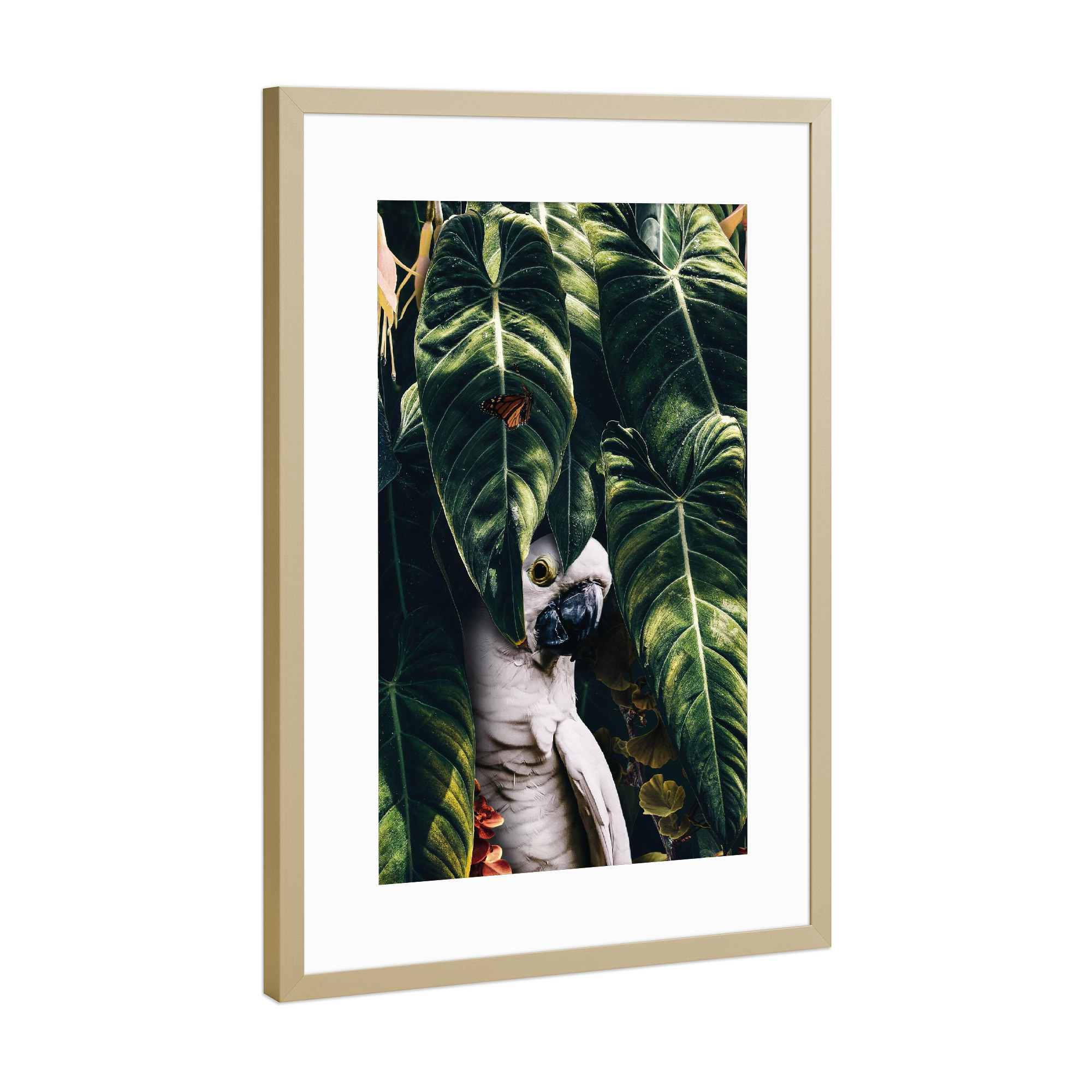 Poster mit Rahmen Gold "Dschungel-Papagei" artboxONE - Natur,Tiere - Papagei,Kakadu,Dschungel,Grün,Wald,Vogel,Tropischer vogel
