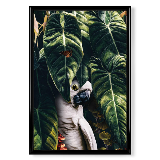 Jungle Parrot