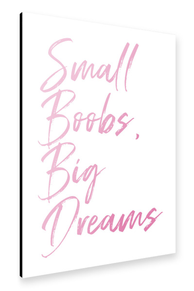 Alu-Dibond "Small boobs, big dreams" 30x20 cm artboxONE