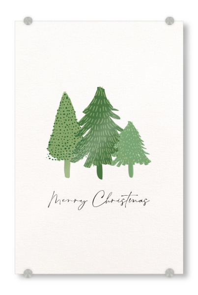 Acrylglasbild "Drei Tännchen - Merry Christmas" artboxONE - Typografie,Natur,Weihnachten