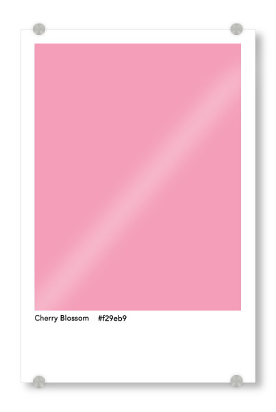 Acrylglasbild "Cherry Blossom - Pink" artboxONE - Typografie,Abstrakt - Cherry blossom,Shade,Pink,Farbe,Farbcode,Minimalistsich