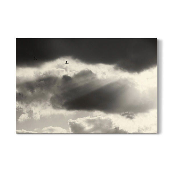 Galerie-Print "Two birds flying in the sky" 30x20 cm artboxONE