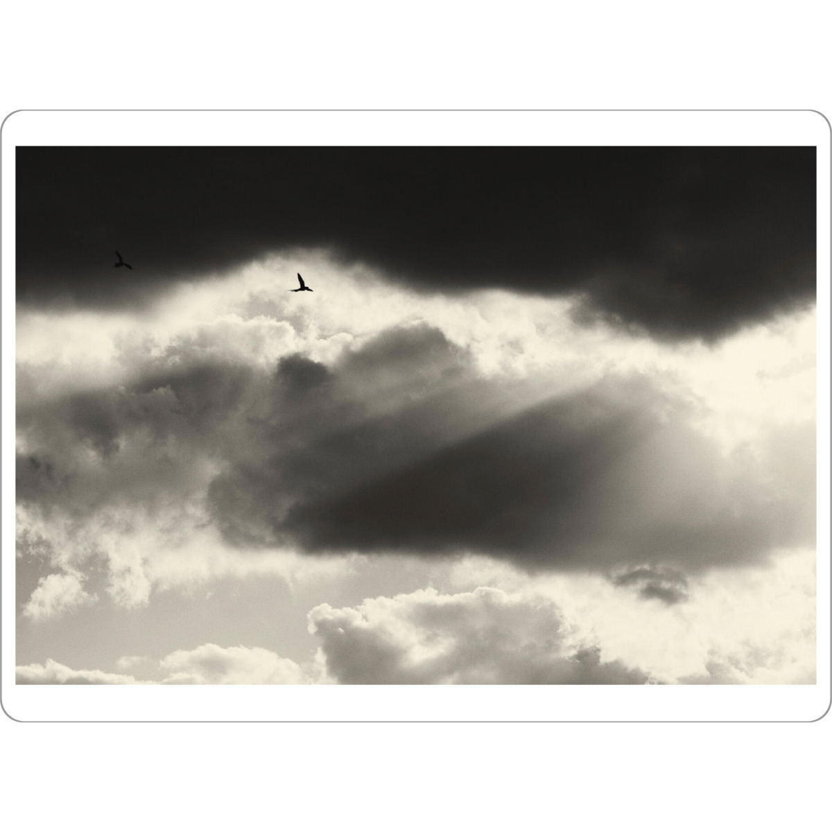 Tischset "Two birds flying in the sky" artboxONE - Natur,Tiere