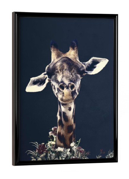 Poster mit schwarzem Rahmen "Blumengiraffe" artboxONE - Floral,Tiere - Giraffe,Blumengiraffe,Blumengiraffe,Blumen
