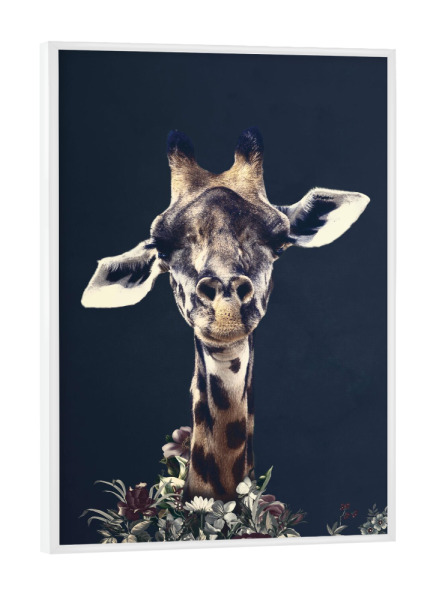 Poster mit weißem Rahmen "Blumengiraffe" artboxONE - Floral,Tiere - Giraffe,Blumengiraffe,Blumengiraffe,Blumen