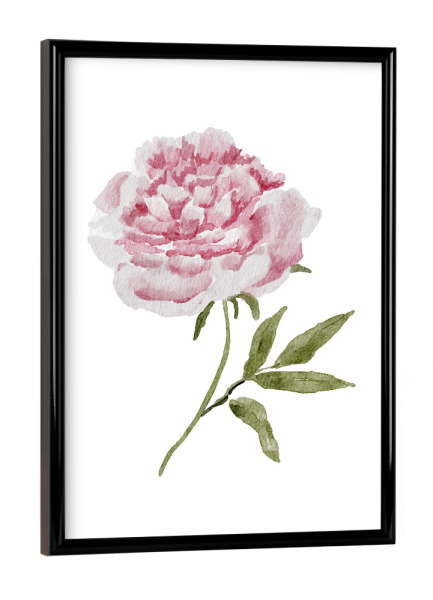 Poster mit schwarzem Rahmen "Aquarell Hochzeitspfingstrose" artboxONE - Floral