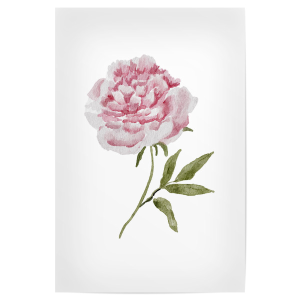 Poster "Aquarell Hochzeitspfingstrose" artboxONE - Floral
