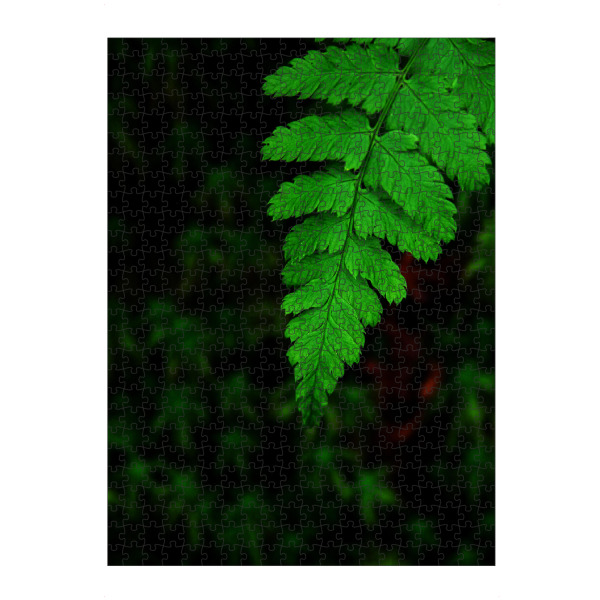 artboxONE Puzzle "Farn im Wald" artboxONE - Natur - Wald,Natur,Grün,Farn,Moos,Regenwald,Dickicht,Unkraut,Garten - Bild wald