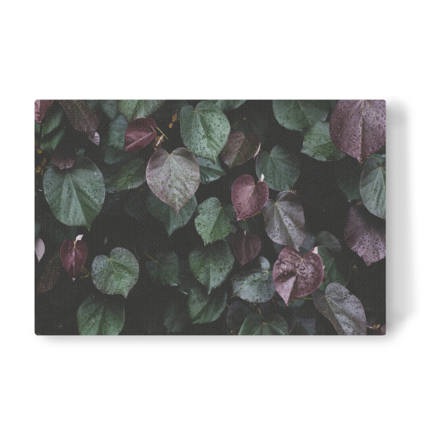 Leinwandbild "Winterblätter" artboxONE - Natur,Floral
