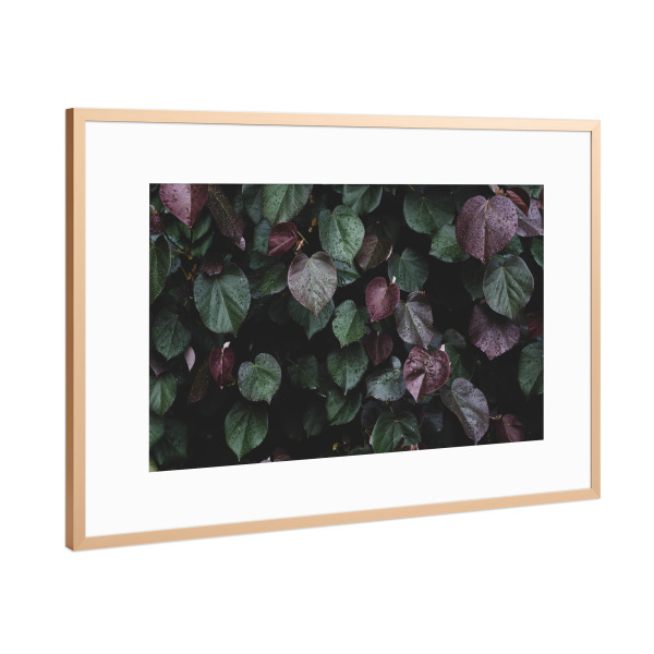 Poster mit Rahmen Kupfer "Winterblätter" artboxONE - Natur,Floral