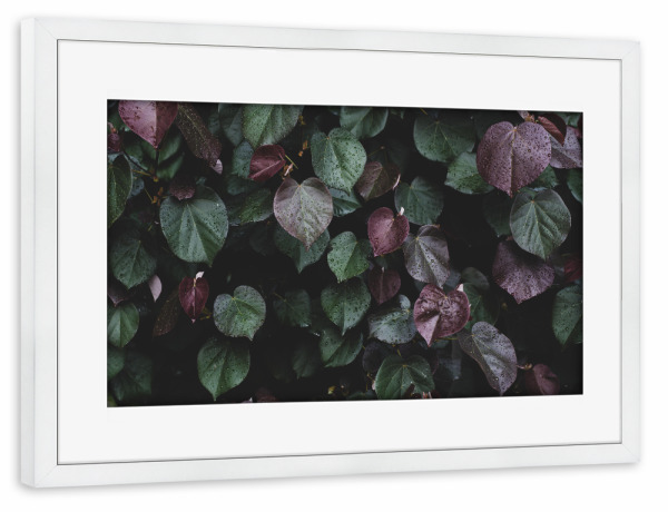 Poster mit Rahmen weiß "Winterblätter" artboxONE - Natur,Floral